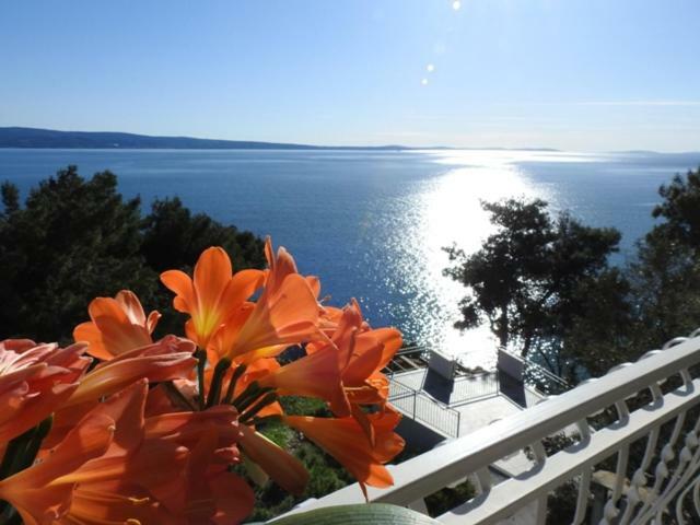 Apartamento Sunrise Vid Dugi Rat Exterior foto